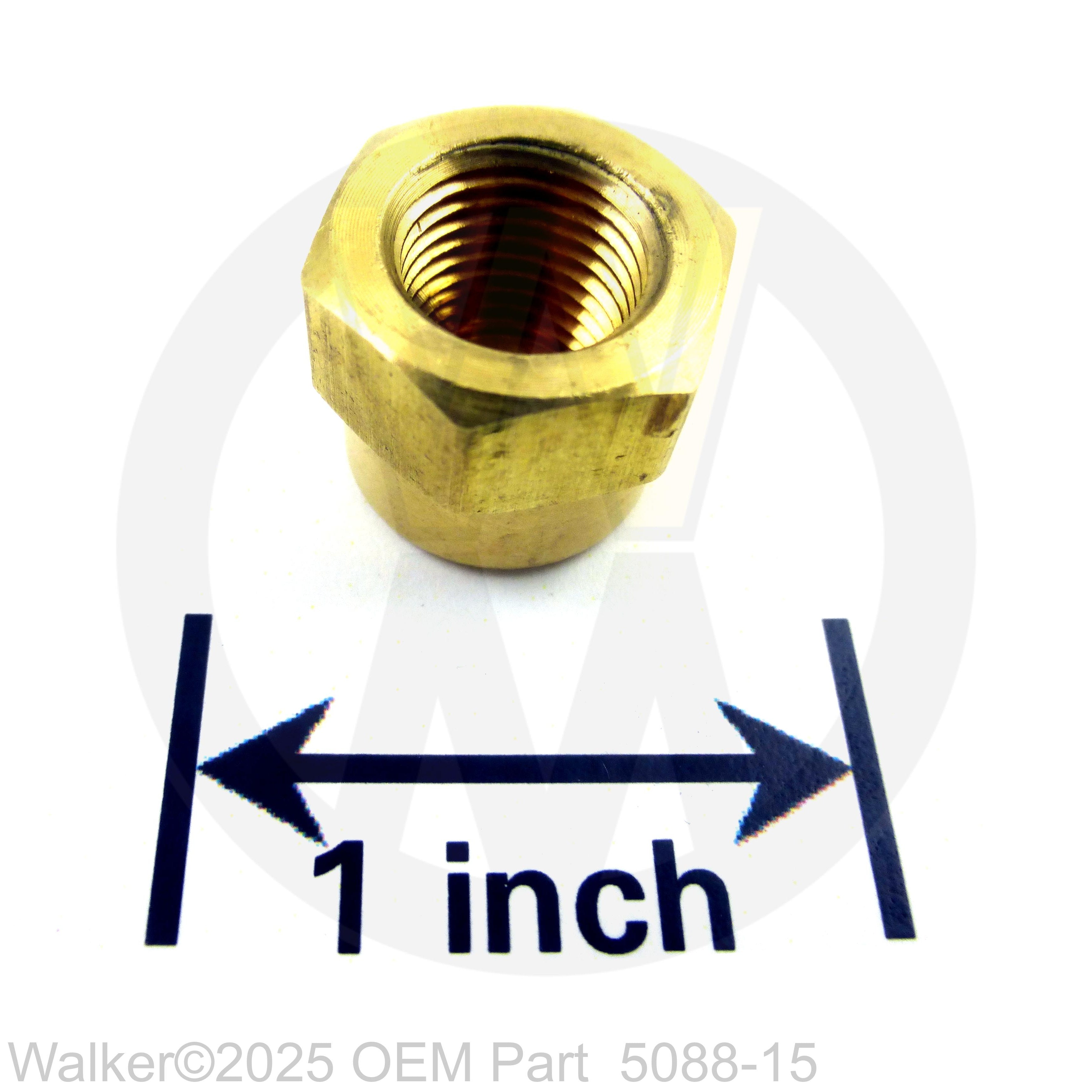 Walker Part # 5088-15 : 1/8' Female NPT Brass Cap