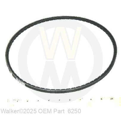Walker Part # 6250 : DRIVE BELT FOR MT