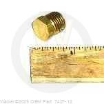Walker Part # 7427-12 : BRASS PIPE PLUG(1/4 NPTF)