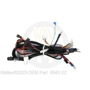Walker Part # 8940-22 : Wire Harness EFI/25i