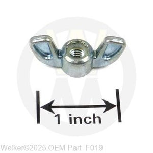 Walker Part # F019 : 1/4-20 ESNA WING NUT