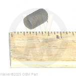 Walker Part # F110 : 5/16-18x1/2 SET SCREW