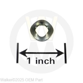 Walker Part # F133 : 1/4 WAVE SPRING WASHER (THIN)