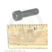 Walker Part # F141 : 1/4-20x3/4 SCH SCREW