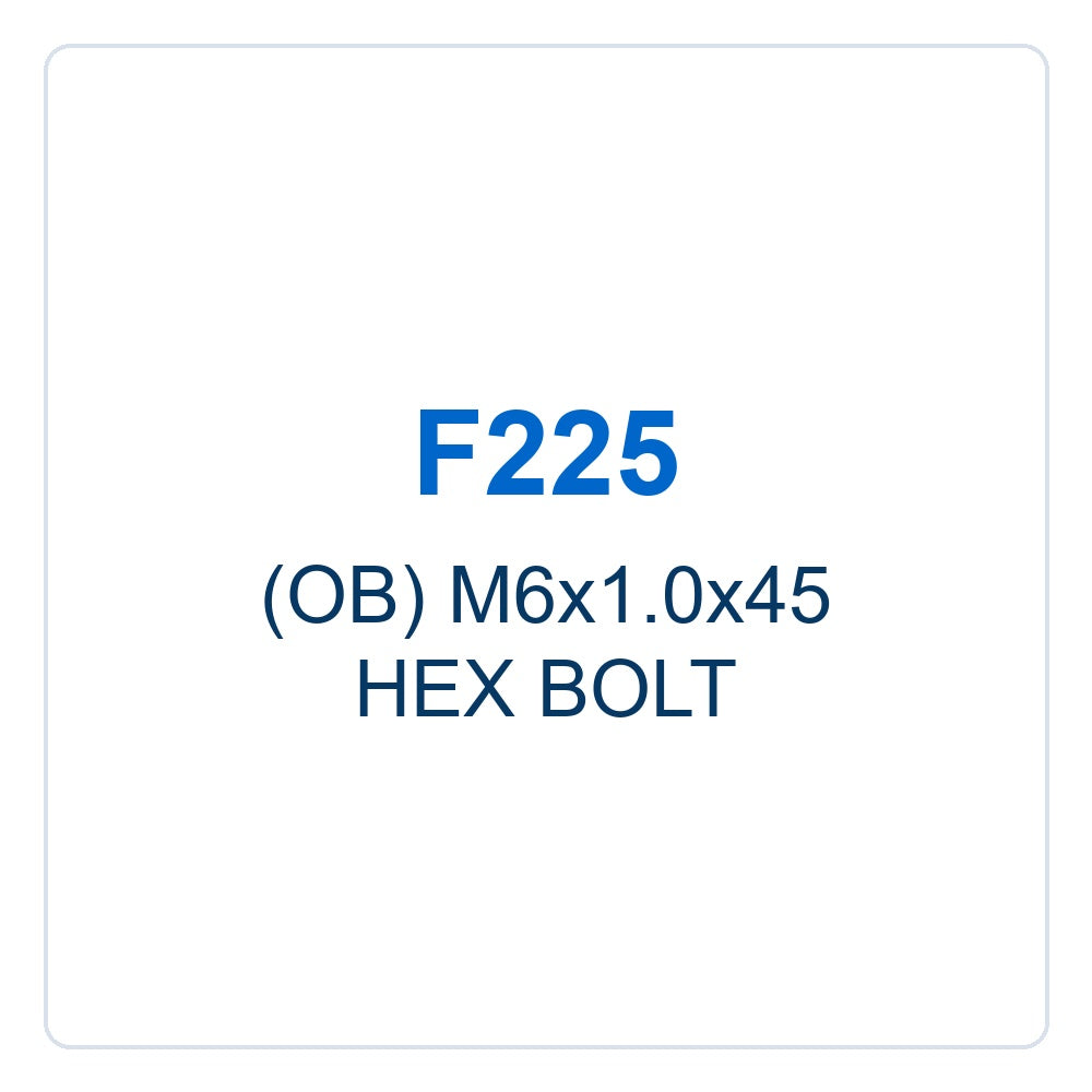 Walker Part # F225 : (OB) M6x1.0x45 HEX BOLT