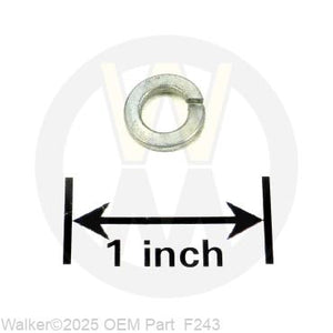 Walker Part # F243 : M6 SPLIT LOCK WASHER