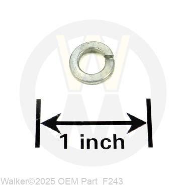 Walker Part # F243 : M6 SPLIT LOCK WASHER