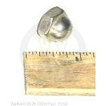 Walker Part # F302 : 3/8-16 ACORN CAP NUT