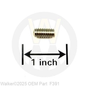 Walker Part # F391 : 1/4-20X1/2 SET SCREW,SS